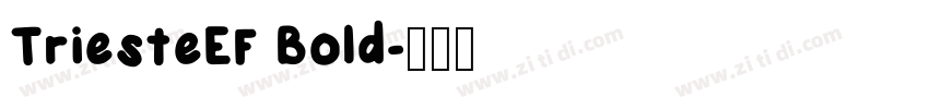 TriesteEF Bold字体转换